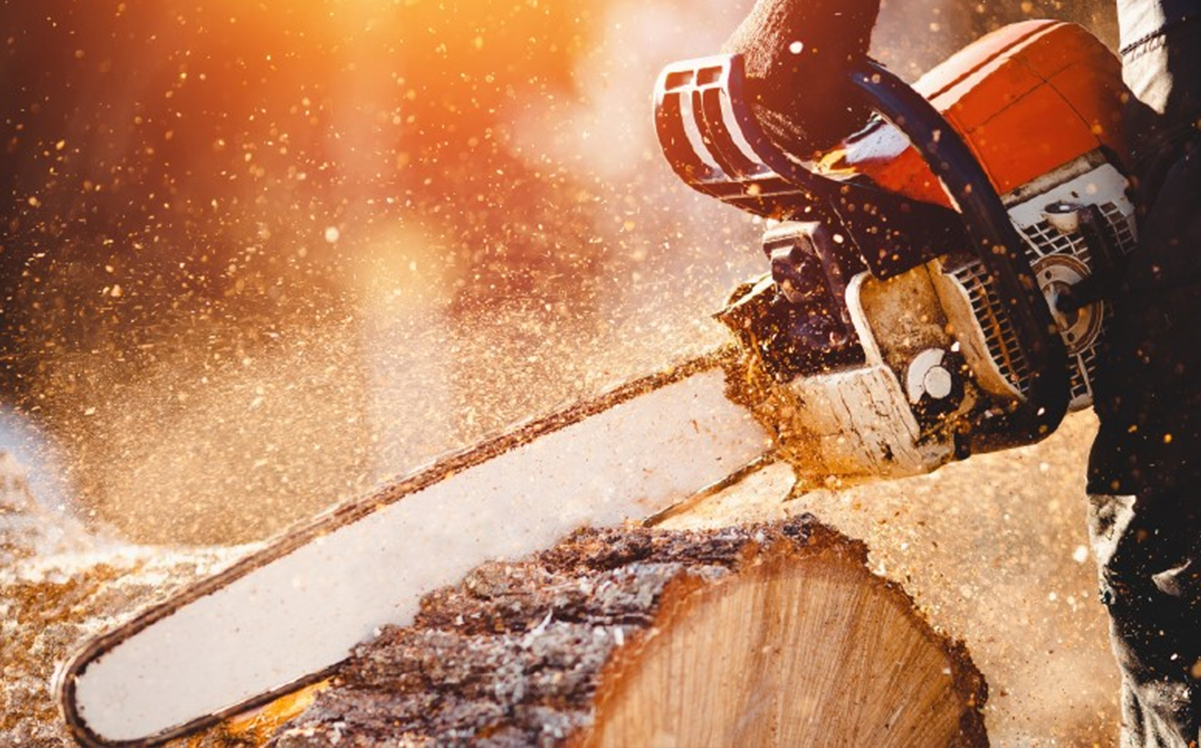 Repair Help Guide How To Clean Your Chainsaw Chain